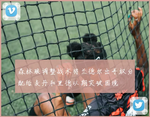 森林狼调整战术将兰德尔出手权分配给麦丹和里德以期突破困境